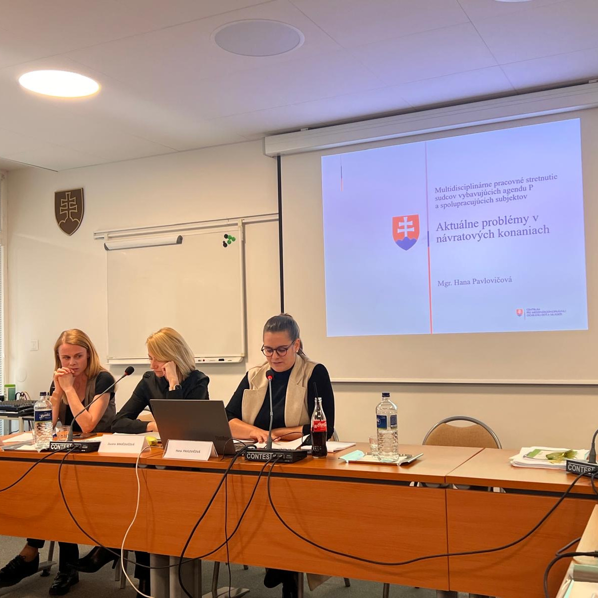 Fotografia riaditeľky Centra Mgr. Hany Pavlovičovej počas jej prezentácie